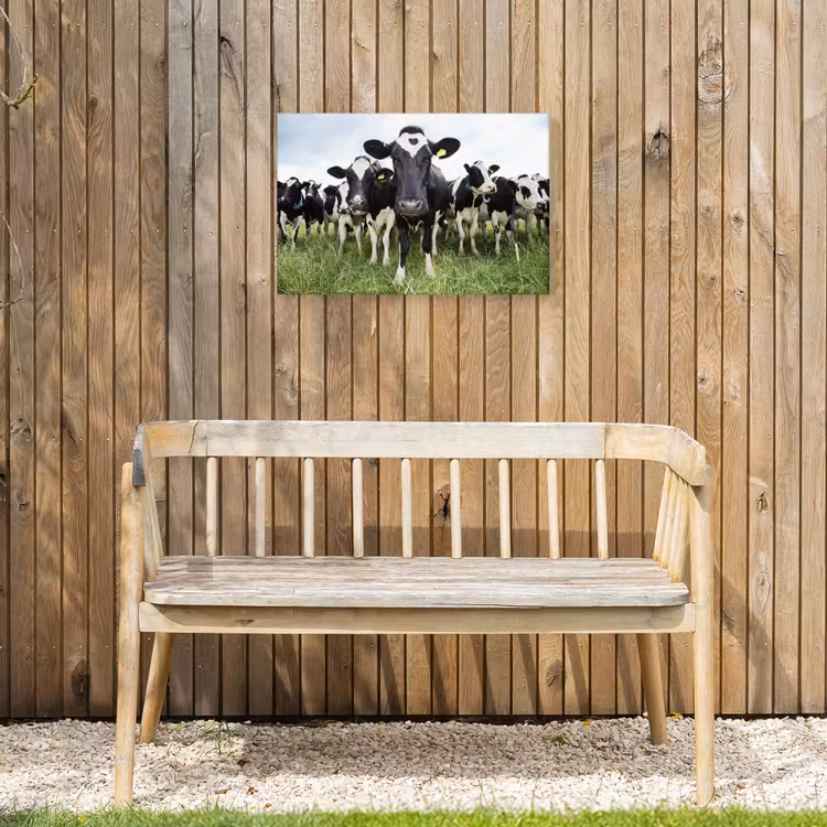 Koeien - Gras - Lente - Dieren - Weiland - Boerderij Tuinposter op houten frame 2 cm dik klein -sfeer4