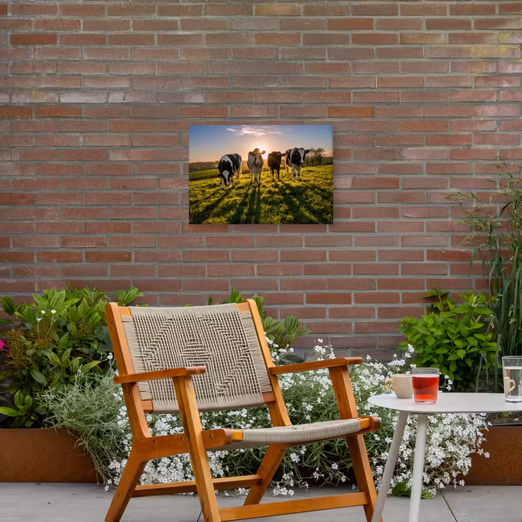 Koeien in de ochtendzon Tuinposter op houten frame 2 cm dik klein -sfeer3