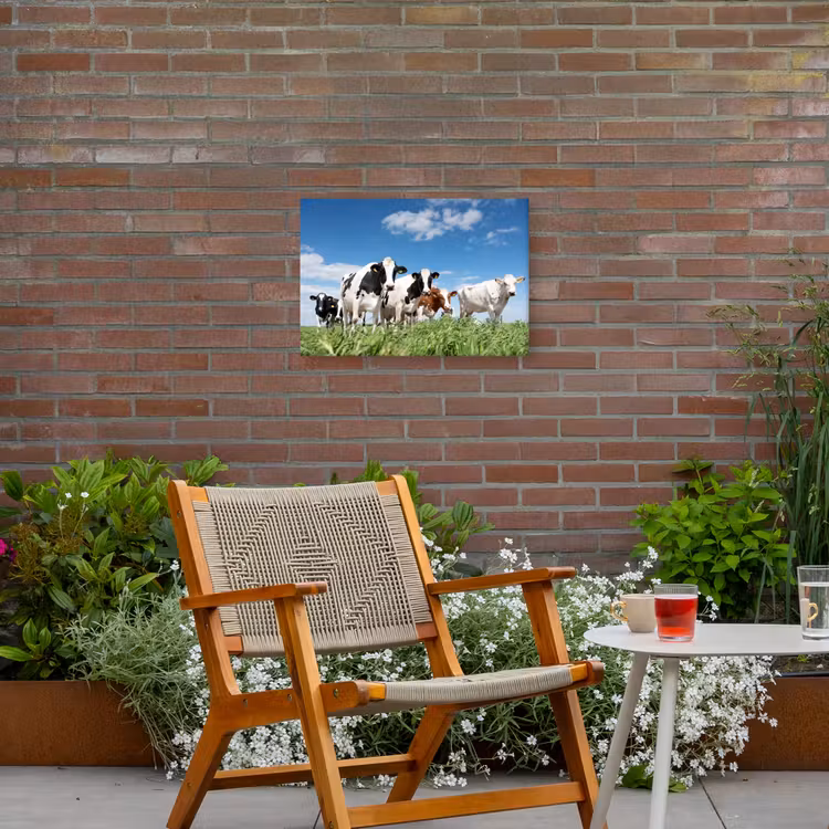 Koeien in de weide Tuinposter op houten frame 2 cm dik klein -sfeer3