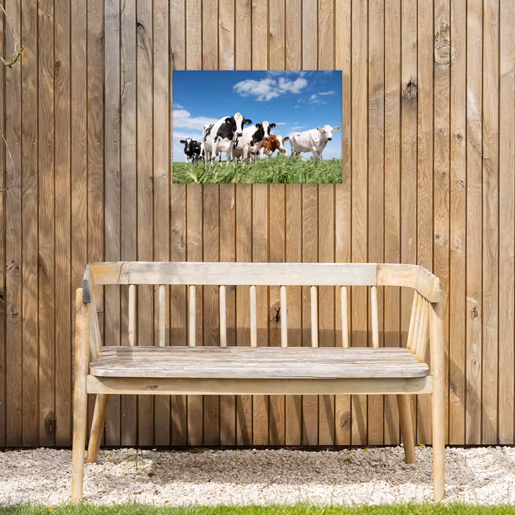 Koeien in de weide Tuinposter op houten frame 2 cm dik klein -sfeer4