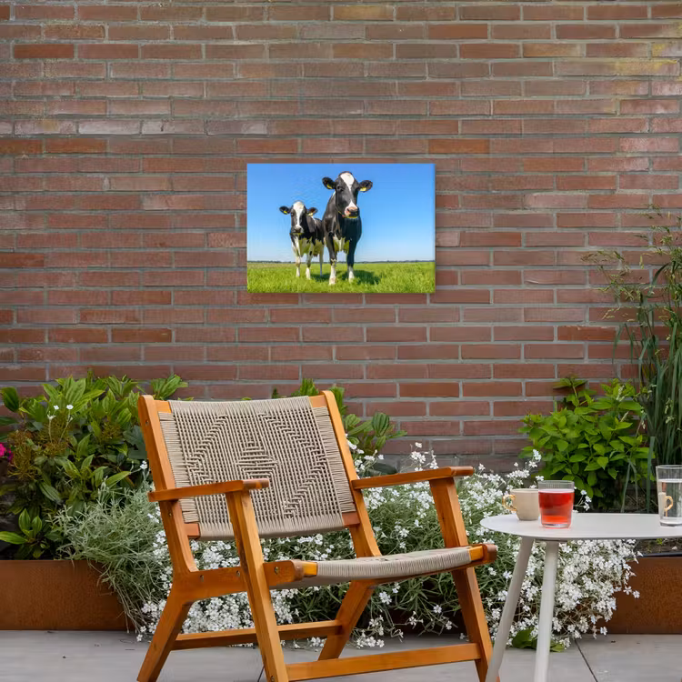 Koeien op een zonnige dag in de wei Tuinposter op houten frame 2 cm dik klein -sfeer3