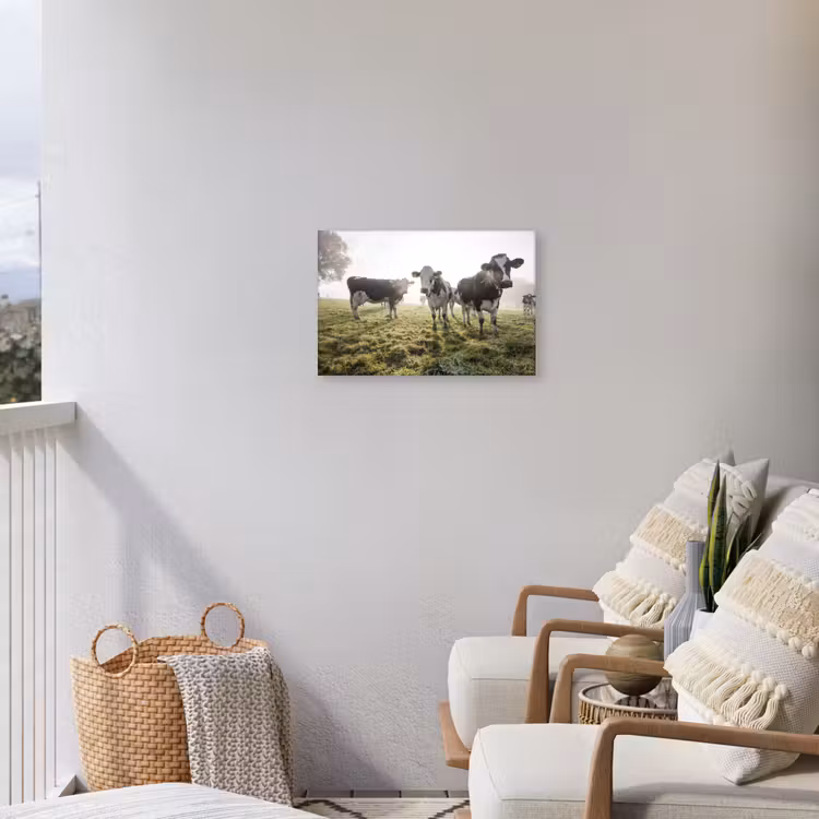 Koeien - Licht - Gras - Dieren Tuinposter op houten frame 2 cm dik klein -sfeer1