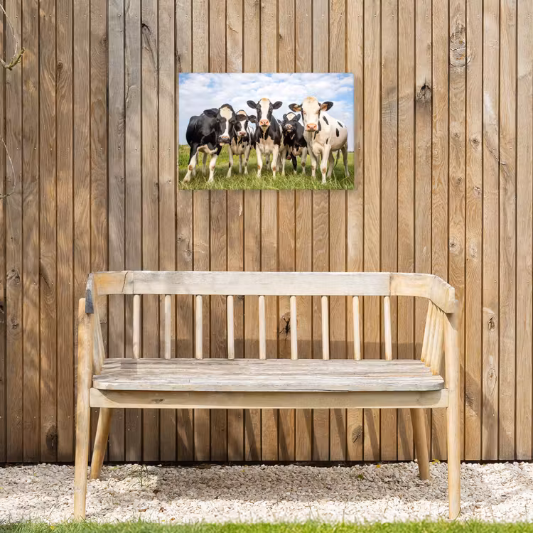 Koeien - Weiland - Dieren - Natuur - Gras Tuinposter op houten frame 2 cm dik klein -sfeer4
