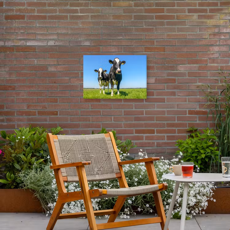 Koeien - Weiland - Gras - Dieren - Boerderij Tuinposter op houten frame 2 cm dik klein -sfeer3