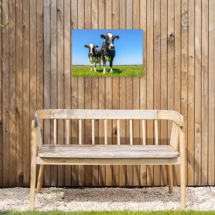 Koeien - Weiland - Gras - Dieren - Boerderij Tuinposter op houten frame 2 cm dik klein -sfeer4