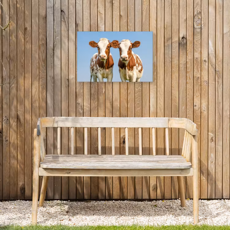 Koeien - Lucht - Dieren - Boerderij - Portret Tuinposter op houten frame 2 cm dik klein -sfeer4