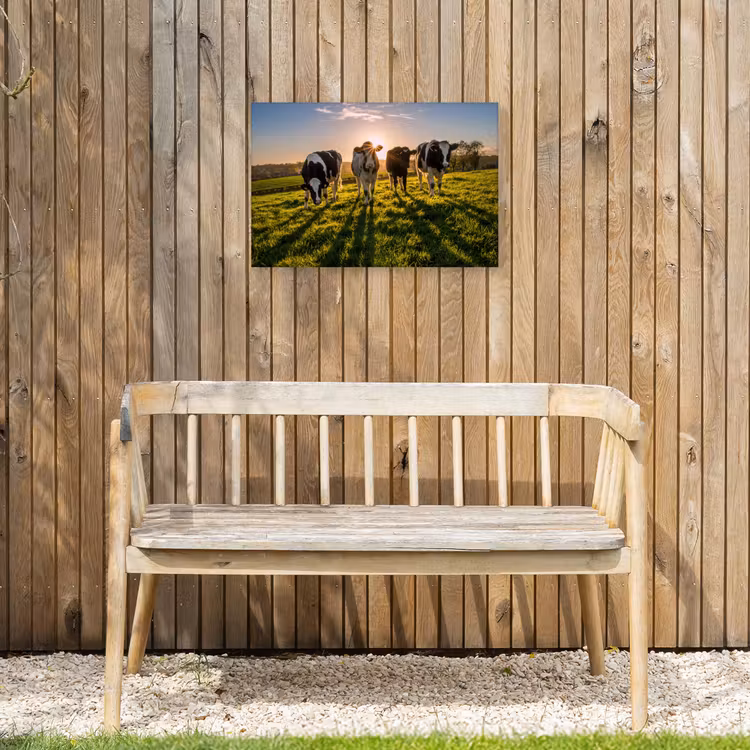 Koeien - Zon - Gras - Dieren - Boerderij Tuinposter op houten frame 2 cm dik klein -sfeer4