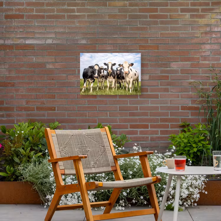 Nieuwsgierige koeien in de wei Tuinposter op houten frame 2 cm dik klein -sfeer3