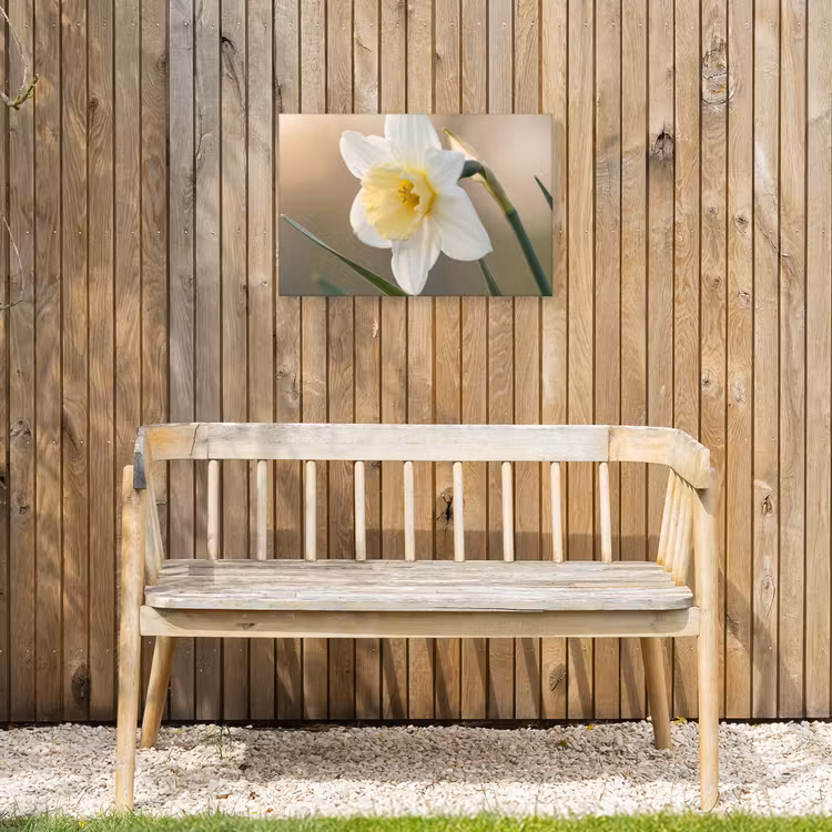 Narcis - Bloem - Minimalistisch Tuinposter op houten frame 2 cm dik klein -sfeer4
