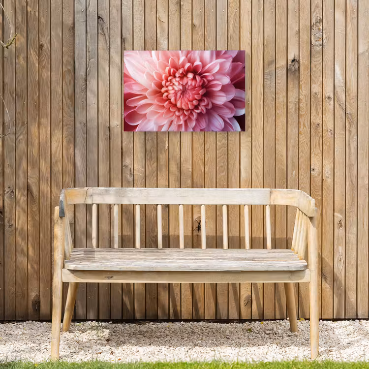 Dahlia - Bloem - Close up - Roze Tuinposter op houten frame 2 cm dik klein -sfeer4