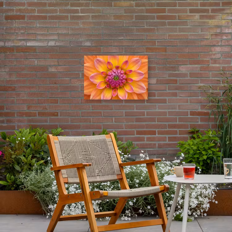 Dahlia - Bloem - Oranje Tuinposter op houten frame 2 cm dik klein -sfeer3