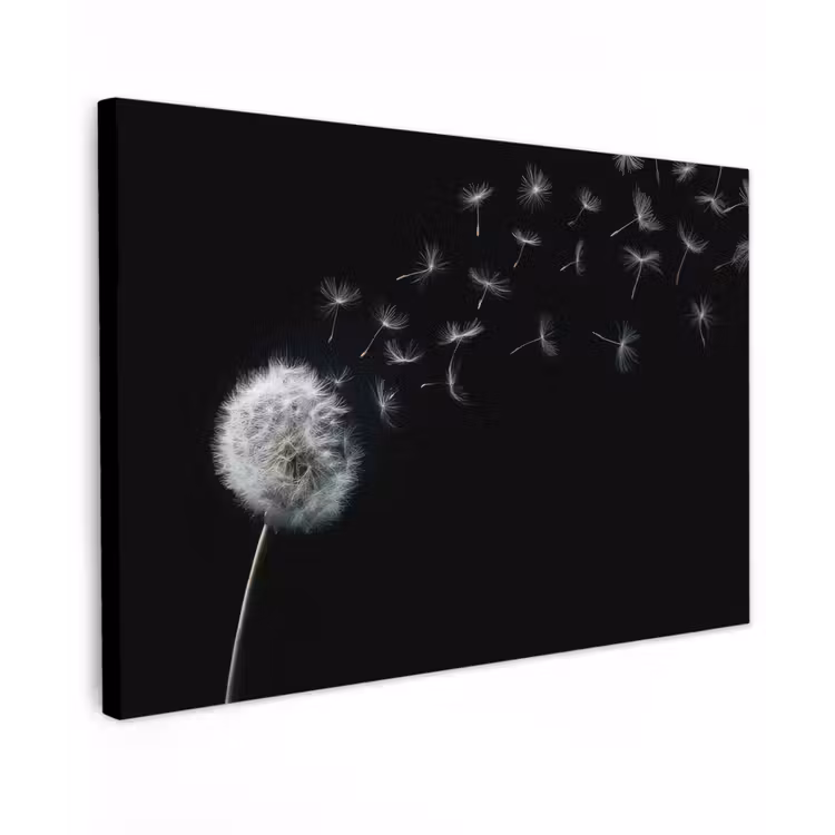 Paardenbloem - Zwart - Natuur Tuinposter op houten frame 2 cm dik klein -3d
