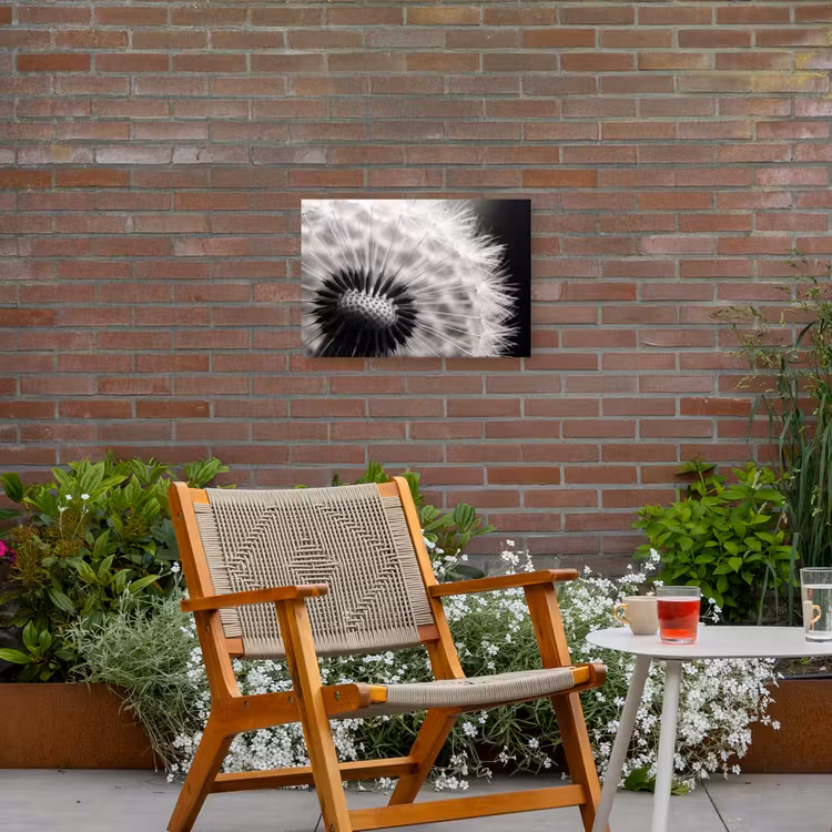 Paardenbloem - Zwart - Wit Tuinposter op houten frame 2 cm dik klein -sfeer3