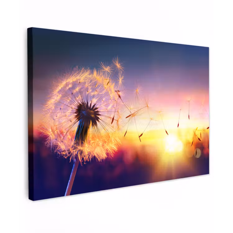 Paardenbloem - Bloemen - Zonsondergang - Horizon - Nacht Tuinposter op houten frame 2 cm dik klein -3d