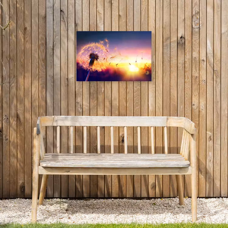 Paardenbloem in de Avondschemering Tuinposter op houten frame 2 cm dik klein -sfeer4