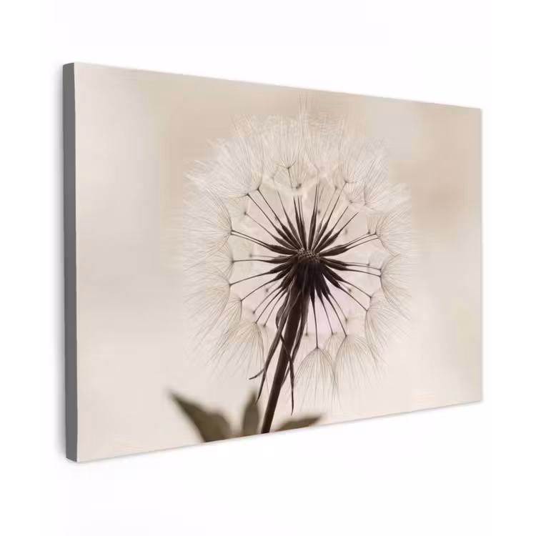 Paardenbloem - Minimalistisch - Wit Tuinposter op houten frame 2 cm dik klein -3d