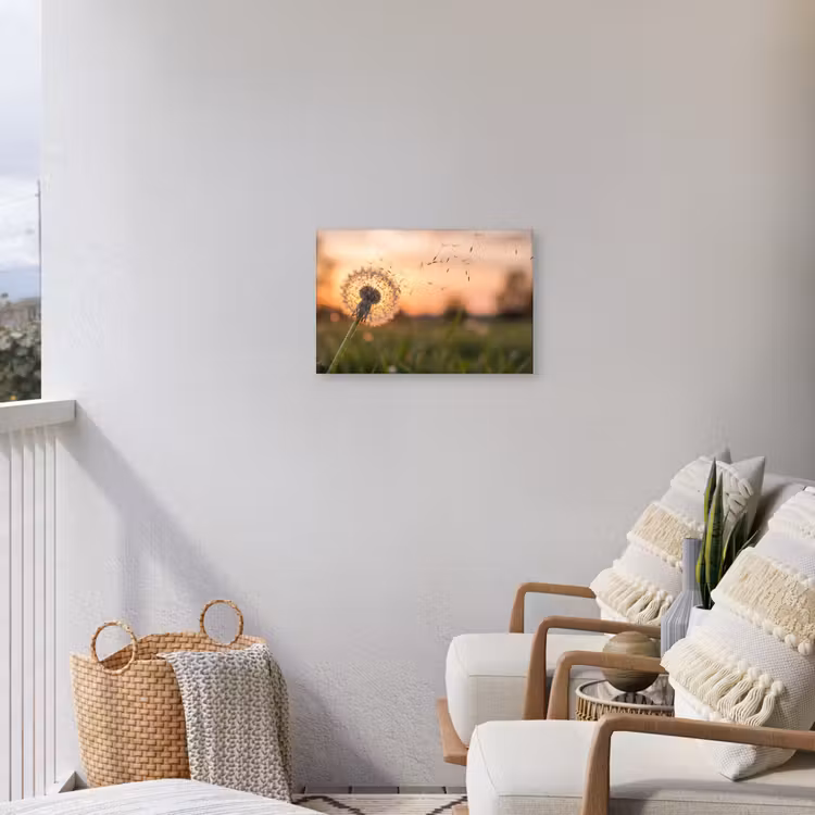 Paardenbloem - Zonsondergang - Veld Tuinposter op houten frame 2 cm dik klein -sfeer1