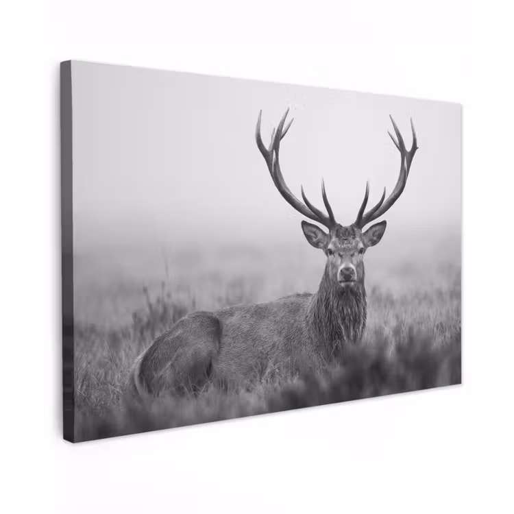 Hert - Mistig - Zwart - Wit Tuinposter op houten frame 2 cm dik klein -3d