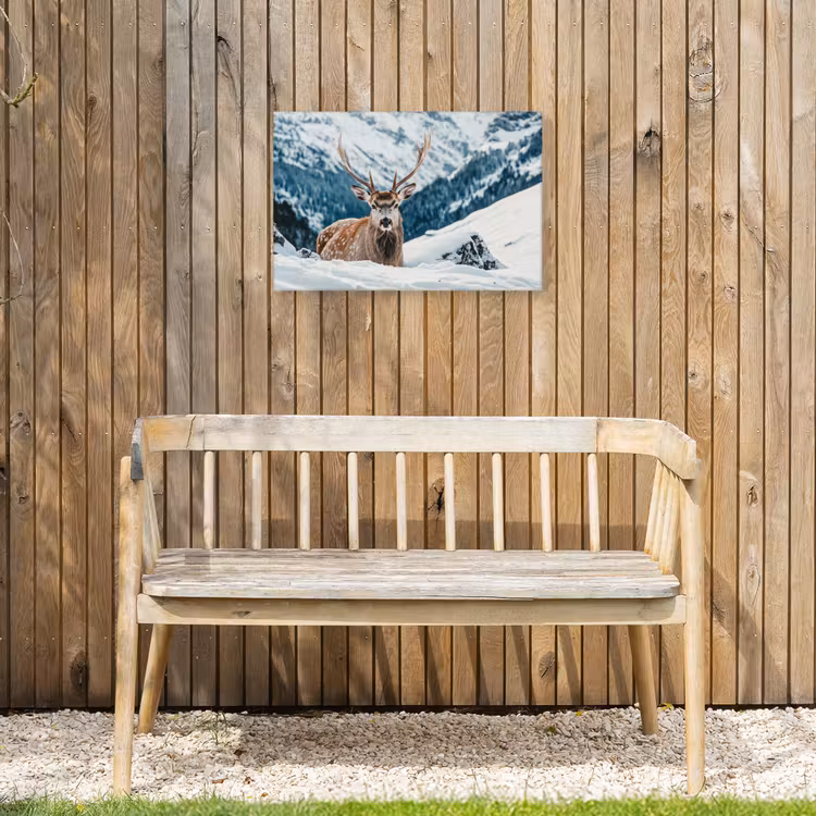 Hert - Landschap - Winter - Natuur - Dieren - Bergen Tuinposter op houten frame 2 cm dik klein -sfeer4