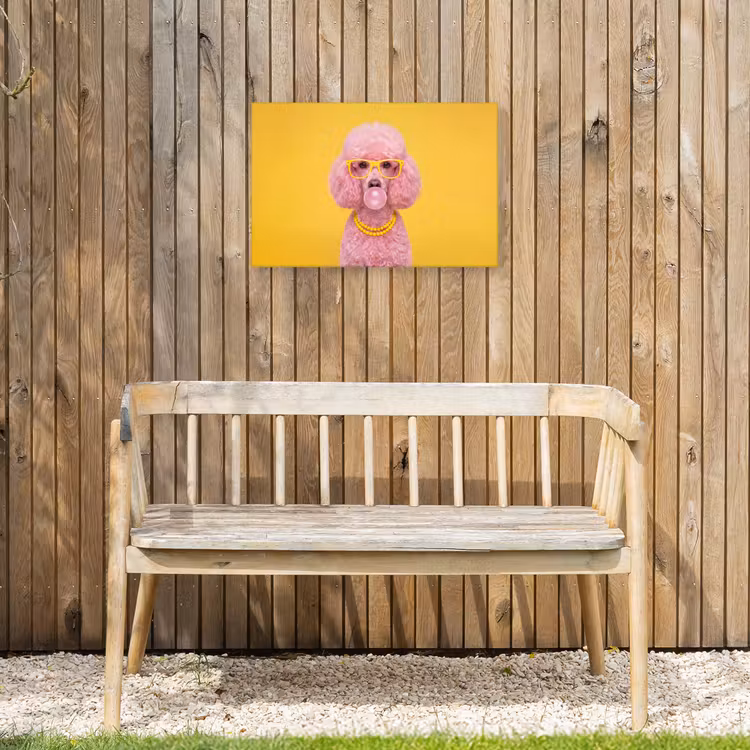 Hond - Kauwgum - Dieren - Modern - Roze Tuinposter op houten frame 2 cm dik klein -sfeer4