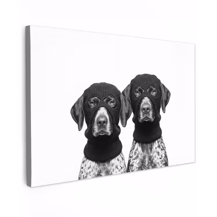 Honden - Bivakmuts - Zwart - wit Tuinposter op houten frame 2 cm dik klein -3d