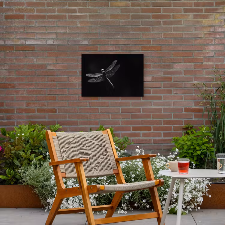Libelle - Dieren - Zwart - Insect Tuinposter op houten frame 2 cm dik klein -sfeer3