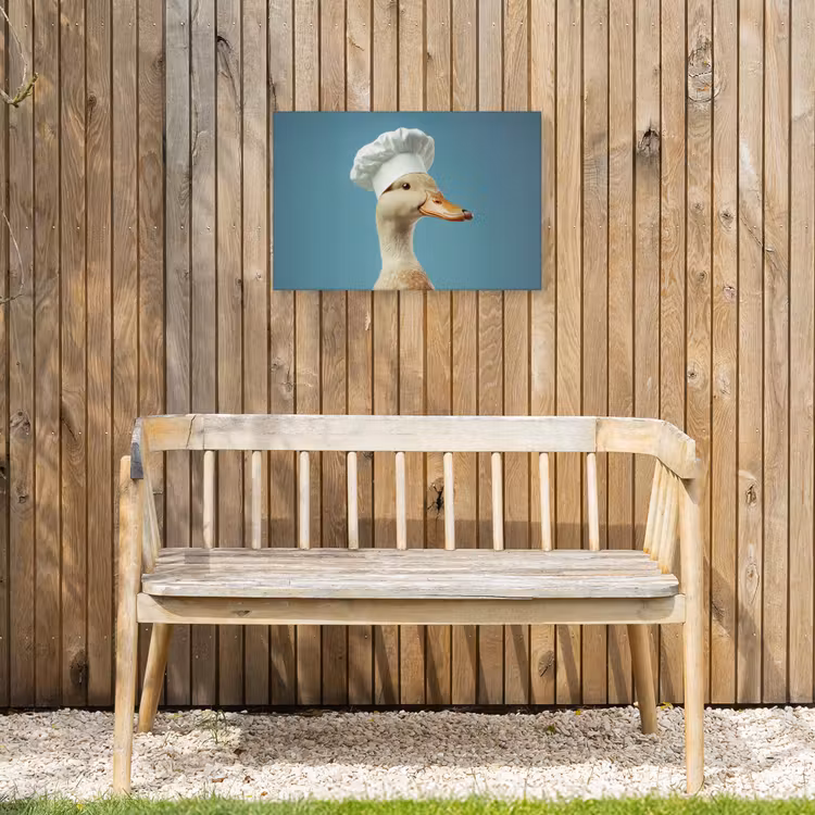 Eend - Koksmuts - Cute - Vogel Tuinposter op houten frame 2 cm dik klein -sfeer4