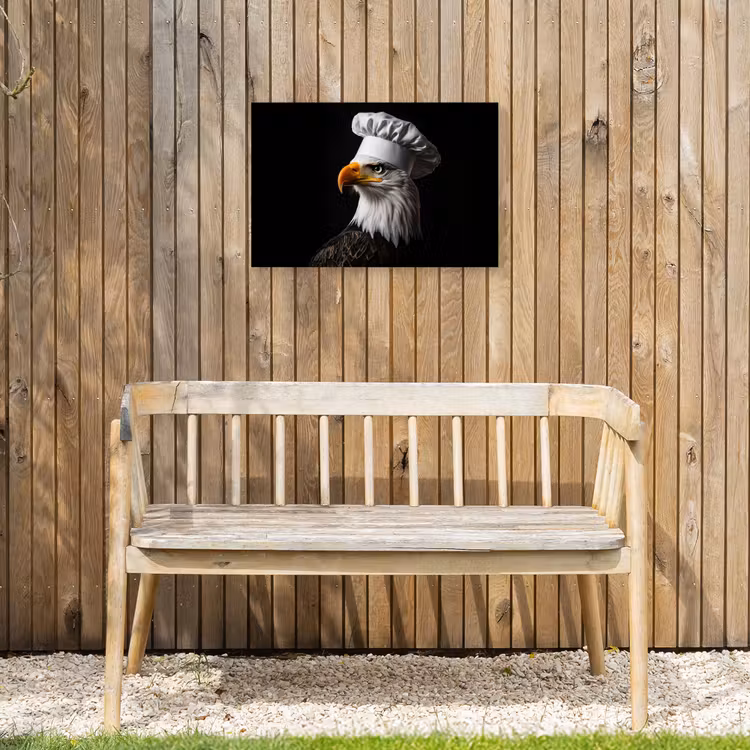 Arend -Amerika - Koksmuts - Vogel - Stoer Tuinposter op houten frame 2 cm dik klein -sfeer4