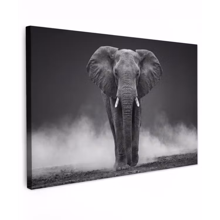 Olifant - Zwart - Wit - Rook Tuinposter op houten frame 2 cm dik klein -3d