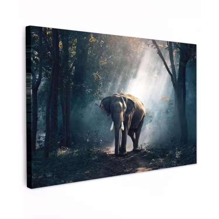 Olifant in mystiek bos Tuinposter op houten frame 2 cm dik klein -3d