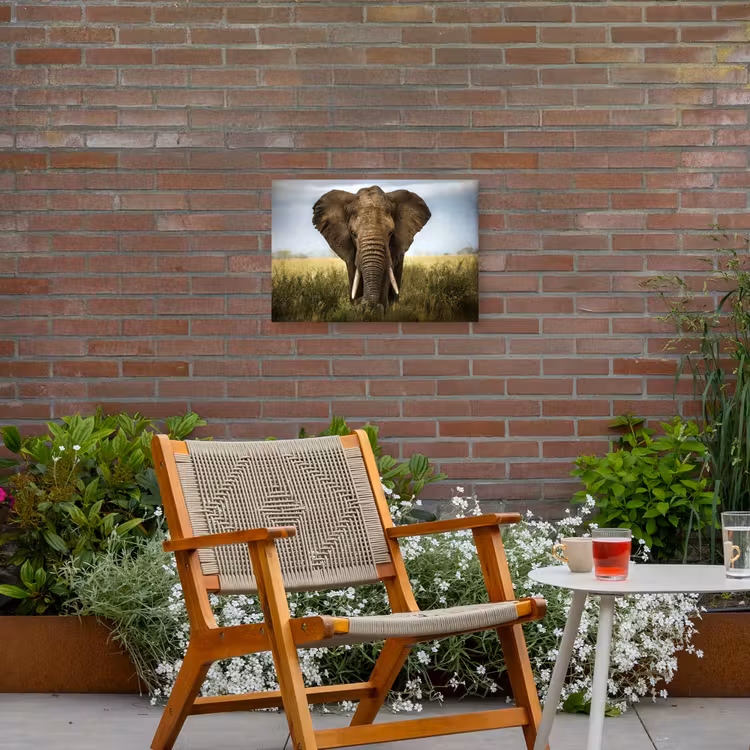 Olifant in de savanne Tuinposter op houten frame 2 cm dik klein -sfeer3