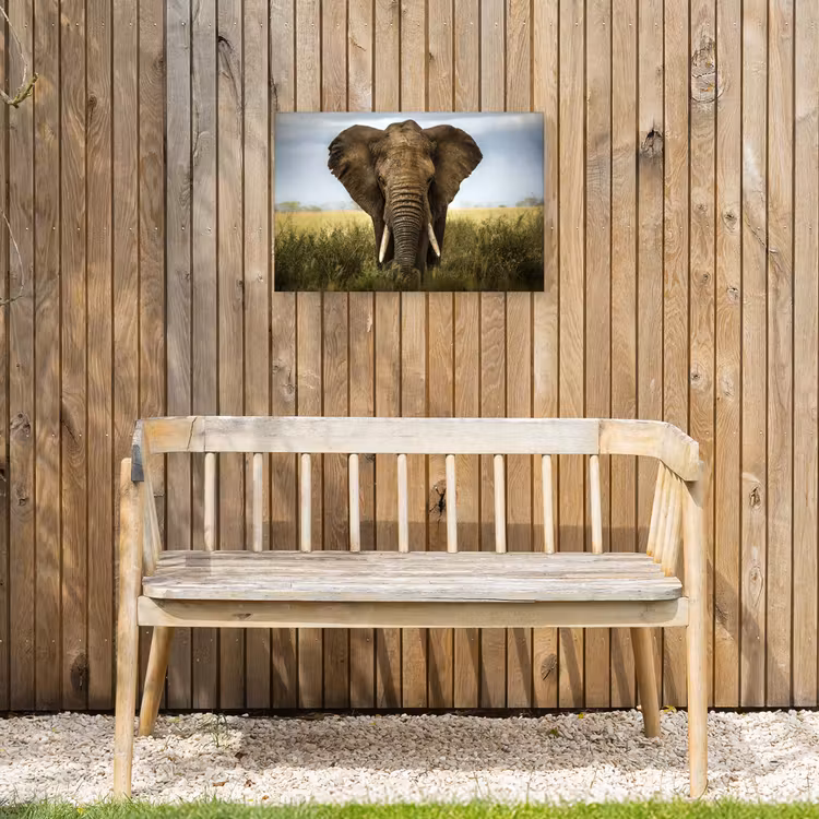 Olifant in de savanne Tuinposter op houten frame 2 cm dik klein -sfeer4