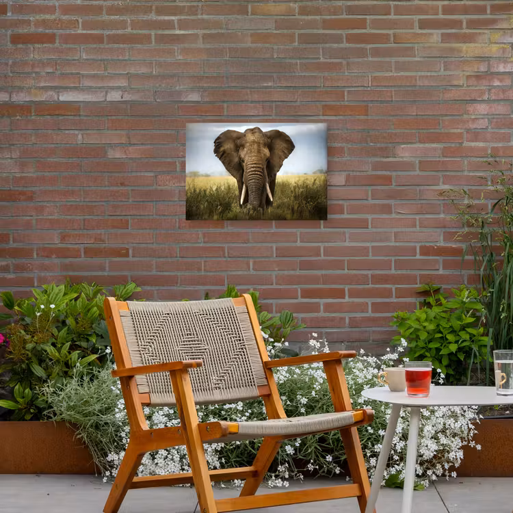 Olifant - Natuur - Gras - Dieren - Landschap Tuinposter op houten frame 2 cm dik klein -sfeer3