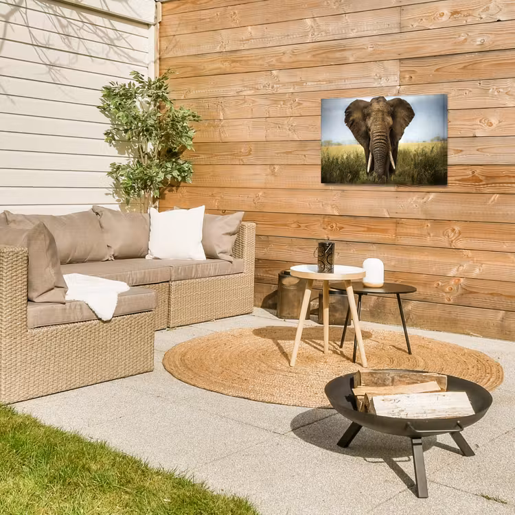 Olifant - Natuur - Gras - Dieren - Landschap Tuinposter op houten frame 2 cm dik klein -sfeer2
