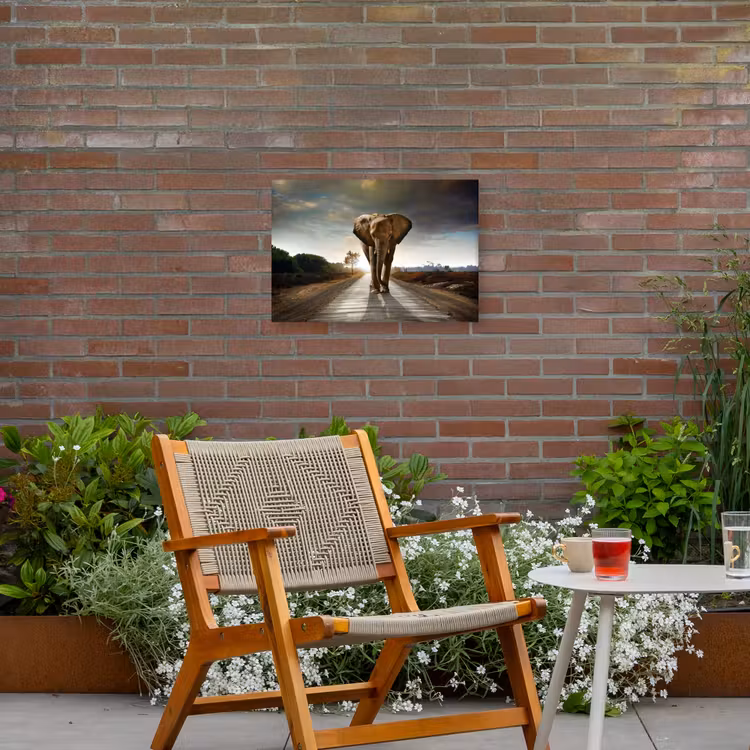 Olifant op een verlaten weg Tuinposter op houten frame 2 cm dik klein -sfeer3