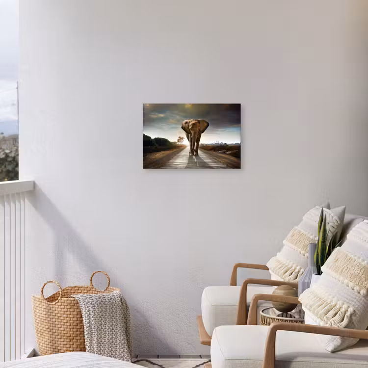 Olifant op een verlaten weg Tuinposter op houten frame 2 cm dik klein -sfeer1