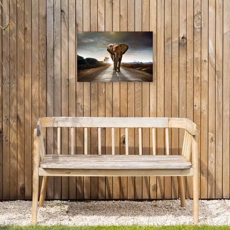 Olifant - Weg - Dieren - Zonsondergang - Landschap Tuinposter op houten frame 2 cm dik klein -sfeer4