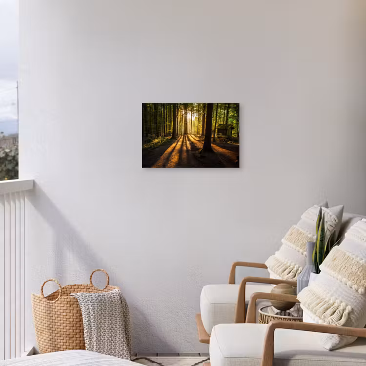 Avondlicht in het bos Tuinposter op houten frame 2 cm dik klein -sfeer1