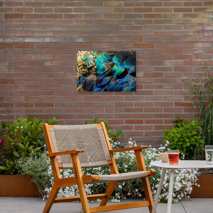 Veren - Pauwveren - Pauw - Blauw - Kunst Tuinposter op houten frame 2 cm dik klein -sfeer3