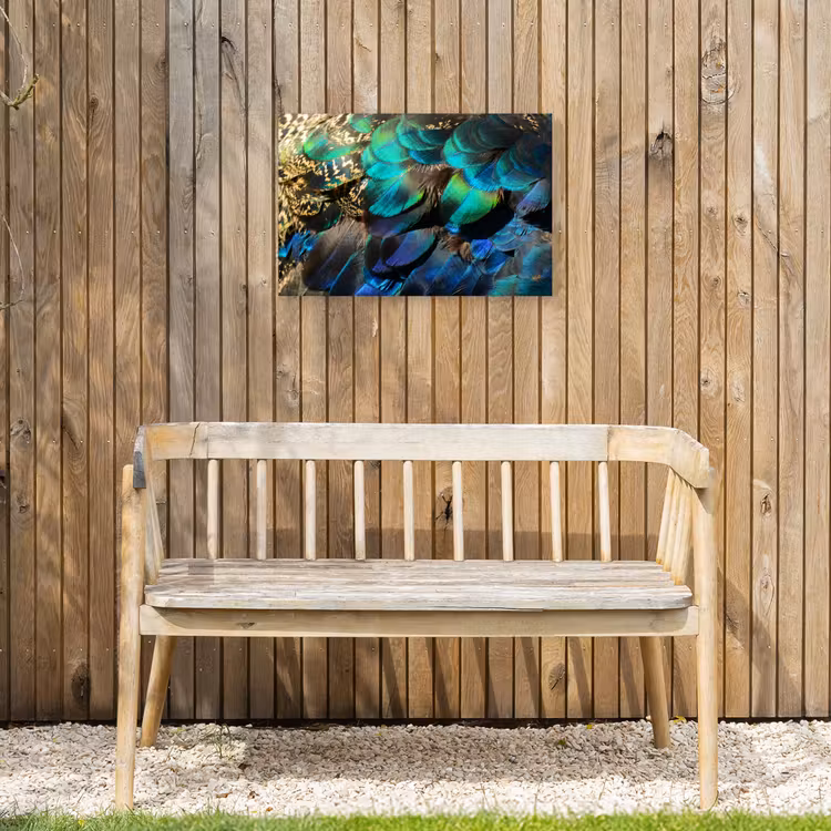 Veren - Pauwveren - Pauw - Blauw - Kunst Tuinposter op houten frame 2 cm dik klein -sfeer4