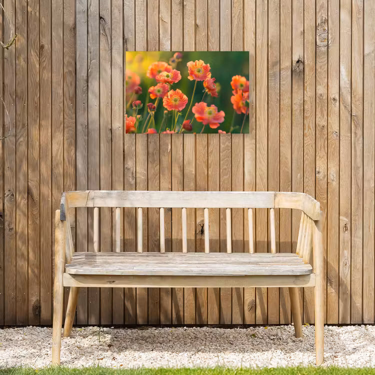 Bloemenveld - Zonnestralen - Oranje Tuinposter op houten frame 2 cm dik klein -sfeer4