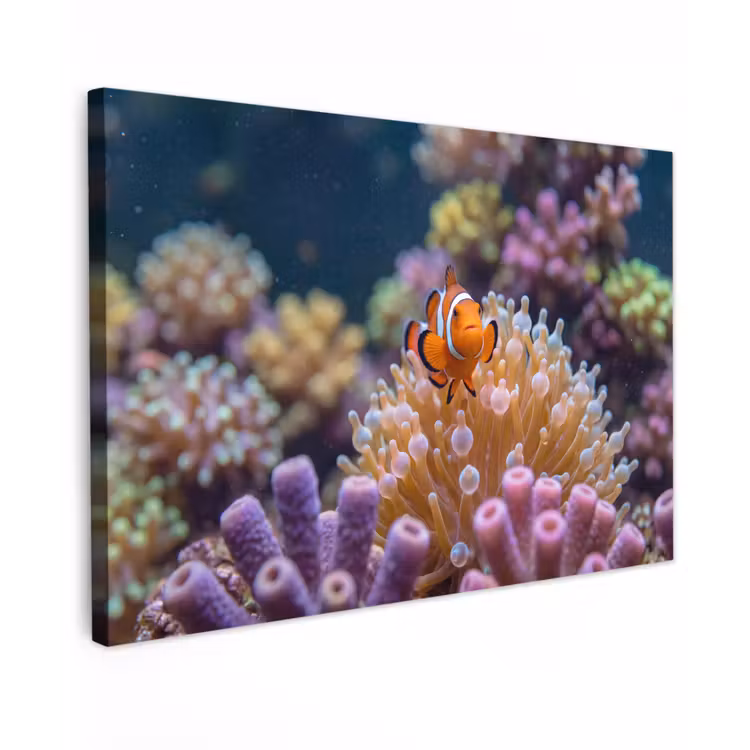 Vis - Koraal - Onderwater - Oranje - Dieren Tuinposter op houten frame 2 cm dik klein -3d