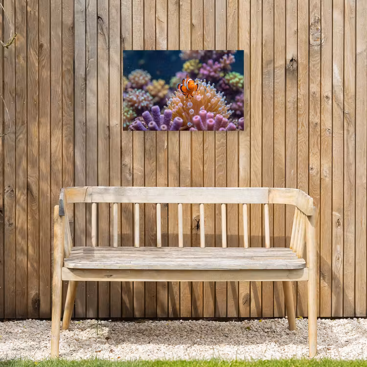 Vis - Koraal - Onderwater - Oranje - Dieren Tuinposter op houten frame 2 cm dik klein -sfeer4