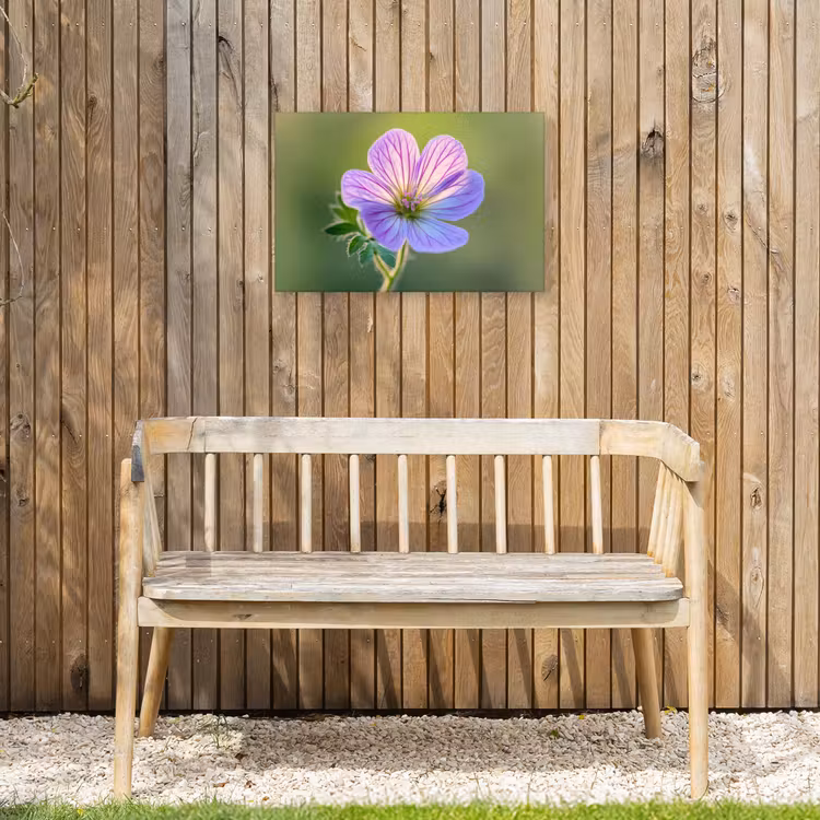 Bloem - Close up - Paars Tuinposter op houten frame 2 cm dik klein -sfeer4