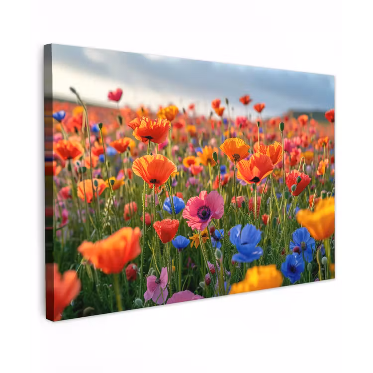 Bloemenweide in volle bloei Tuinposter op houten frame 2 cm dik klein -3d