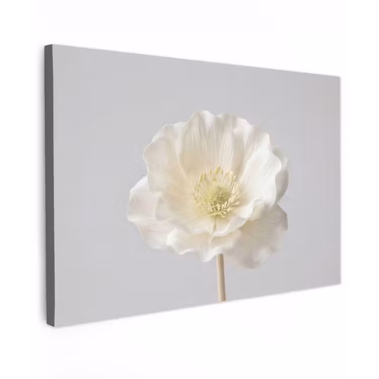 Bloem - Minimalistisch -Wit Tuinposter op houten frame 2 cm dik klein -3d