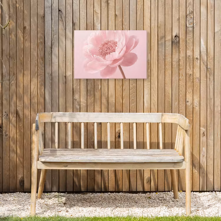 Bloem - Pioenroos - Roze Tuinposter op houten frame 2 cm dik klein -sfeer4