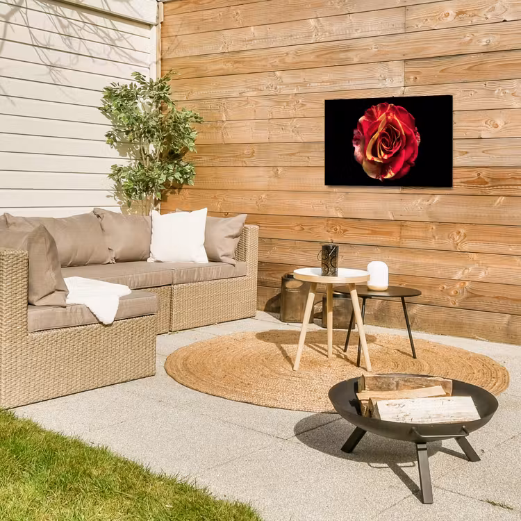 Bloem - Roos - Rood - Zwart Tuinposter op houten frame 2 cm dik klein -sfeer2