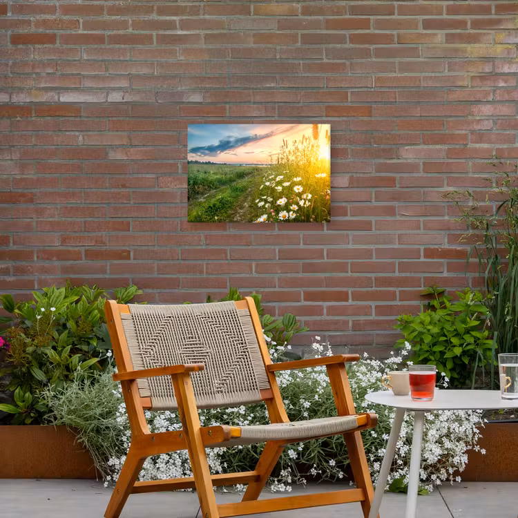 Bloemen - Madelief - Natuur - Zon - Horizon Tuinposter op houten frame 2 cm dik klein -sfeer3