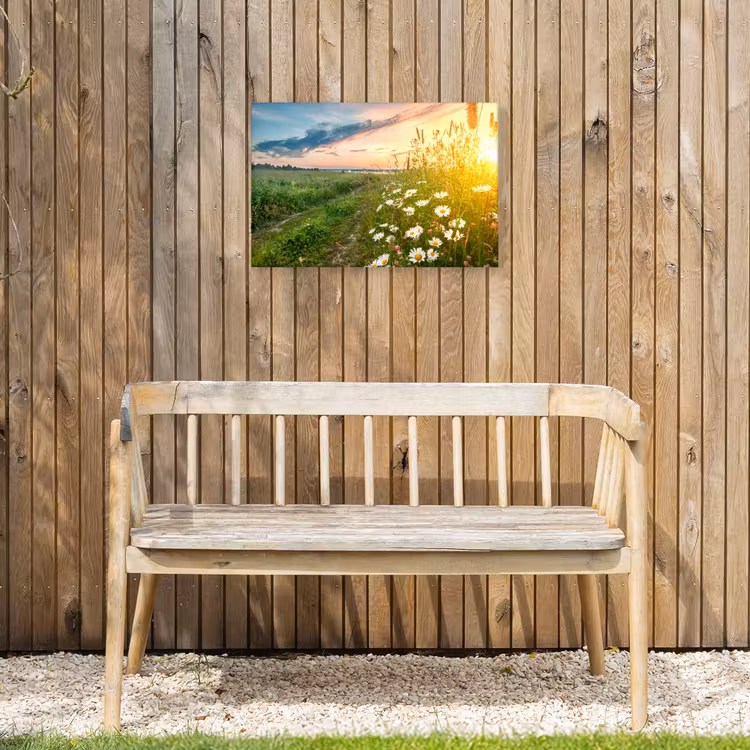 Bloemen - Madelief - Natuur - Zon - Horizon Tuinposter op houten frame 2 cm dik klein -sfeer4